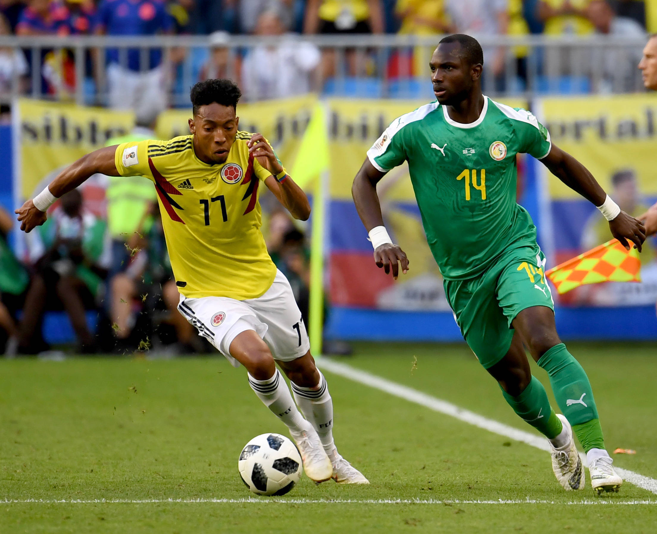 胆要求高位 胆要求高位